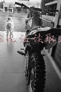 电脑无法读取sd卡