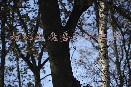好玩的魔兽防守地图