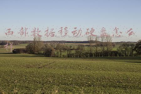 wd西部数据移动硬盘怎么样(巴掌大小的 WD Elements SE 移动固态硬盘体验，稳定性、兼容性都还不错)