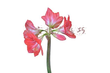 淘宝直通车推广技巧(掌握淘宝直通车正确的推广技巧，即可轻松获取平台大量的精准曝光)
