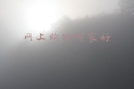 网上购物哪个商家好(2021“双十一”方便速食行业天猫预售前10品牌排行榜)