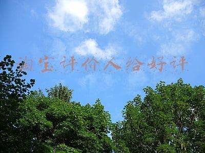 淘宝好评衣服的评价语(极简生活第149天——逛淘宝 买衣服 退 退 退)