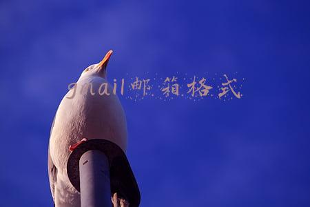 gmail邮箱格式是怎样的(笔记本的系统攻略)