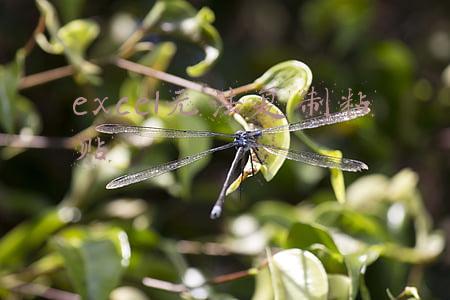 excel无法复制粘贴