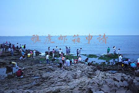 雅虎邮箱申请
