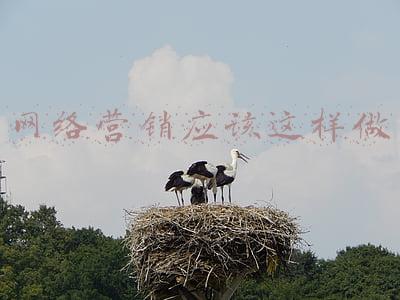 网络营销应该这样做