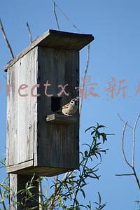 directx最新版下载(研究人员发现伪装的DirectX12下载网站)