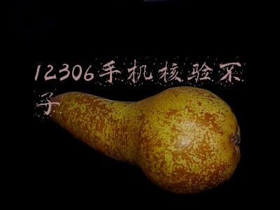 手机核验12306步骤(别错过！手把手教你12306手机购票核验！)