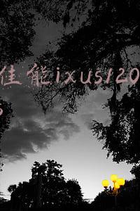 佳能ixus120is