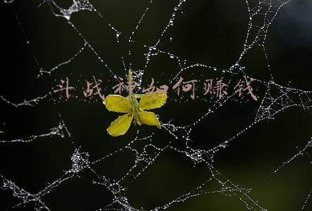 斗战神如何赚钱