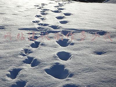 网站建设制作多少钱