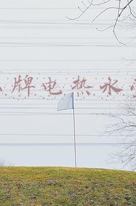 什么牌电热水壶好