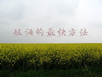醒酒的最快方法