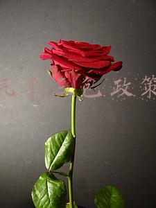 汽车三包政策