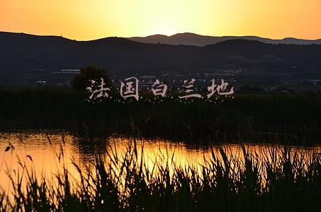 法国白兰地酒多少钱一瓶(土豪喝干邑，懂酒的都喝雅文邑了，附推荐酒单)