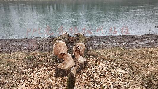 ppt免费模板网站推荐