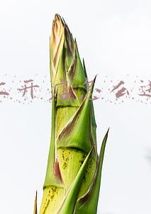 网上开店怎么进货