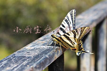 即热式小厨宝什么牌子好(小厨宝和即热式水龙头哪个好？除了这两个，还有第三种选择)