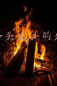 适合头发少的发型图片(5款适合头发稀少的发型，洋气又好看，让你美得更出彩)