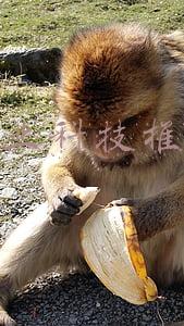 农业科技推广中心(广州唯一！从化区农业技术推广中心入选全国星级基层农技推广机构)