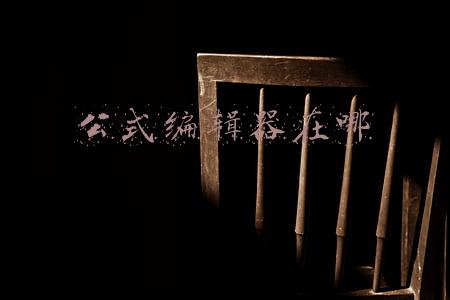 公式编辑器在哪