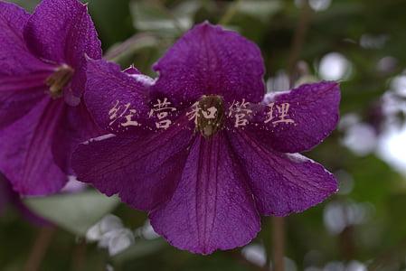 经营和管理