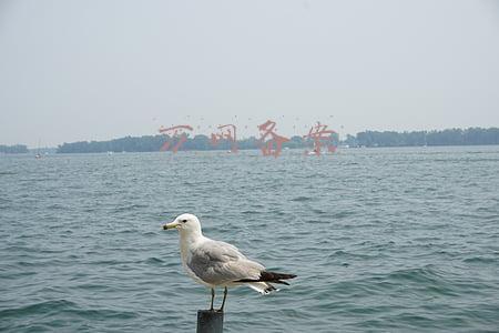 万网备案