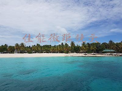 佳能微距镜头怎么使用(别当器材党 微距拍花技巧你学会了吗？)