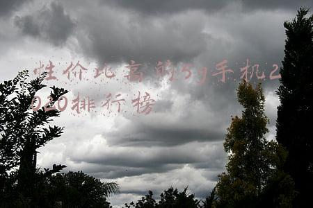 性价比高的5g手机2021(2021年双十一值得入手的5G手机 双11有哪些爆款5G手机推荐)