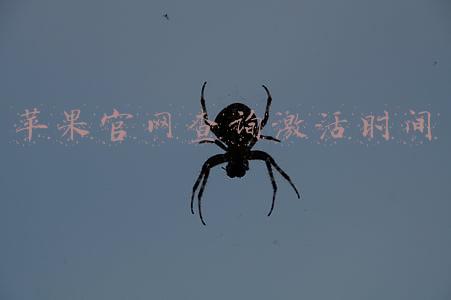 苹果官网教育优惠时间(苹果教育优惠活动开启：今年继续送AirPods)