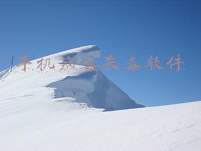手机病毒杀毒软件