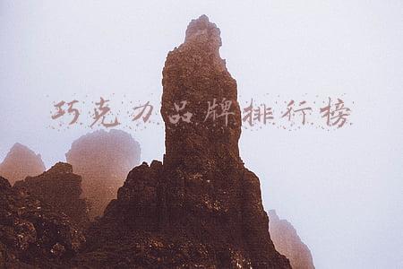 烘焙巧克力品牌排行榜(十大黑巧克力品牌推荐)