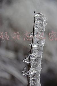密码箱忘记密码怎么开锁视频教程(行李箱自带密码锁 不到一分钟就被解开！)