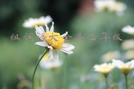 组词语大全集二年级