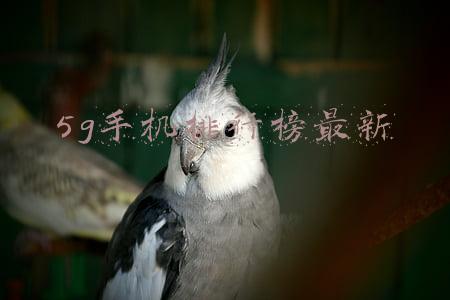 5g手机排行榜最新