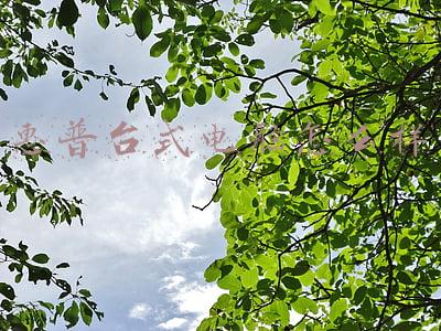 惠普台式电脑怎么样