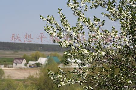 联想平板电脑二合一