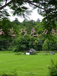 什么是巧克力键盘