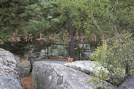 最新上映的好看电影