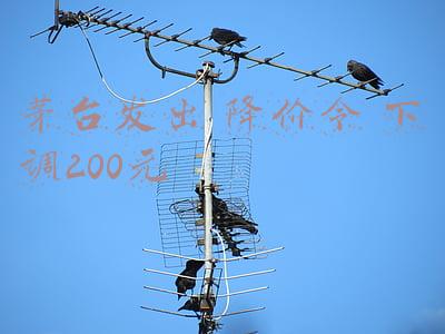 茅台怎么降价了(近日茅台连连降价，是什么原因导致？)