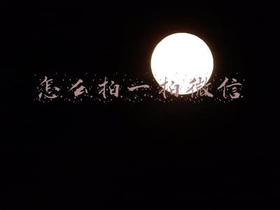 怎么拍一拍微信