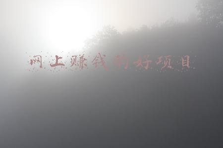 最新网上靠谱的赚钱项目(什么好项目赚钱？推荐这几个给你)