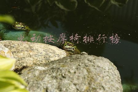 电动按摩椅排行榜