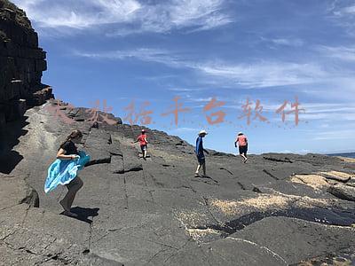 大数据平台软件