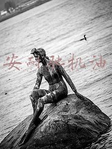 安耐驰机油