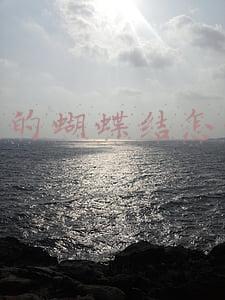 蝴蝶结大衣(凯特穿蝴蝶结大衣参加葬礼成最美！卡米拉胸针有深意，哈里显冷漠)