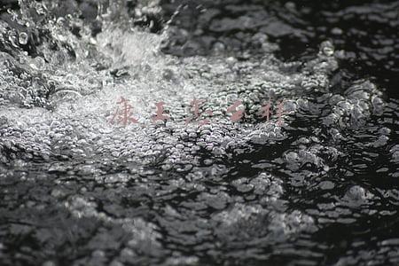 康王怎么样