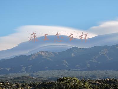 康王怎么样