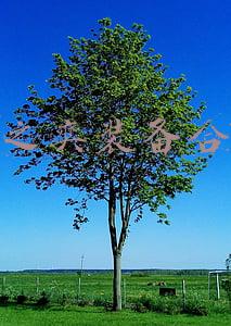 云顶之奕装备合成表高清图新版本装备合成路线图(云顶之弈2021装备合成表最新 2021赛季装备合成路径图)
