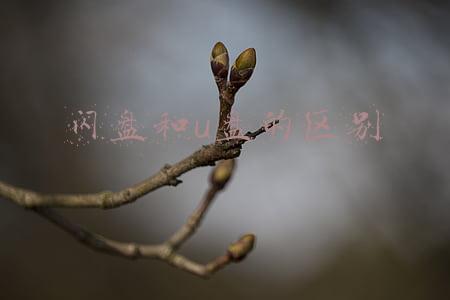 中控usb闪盘管理(效率 备份同步还要稳定)